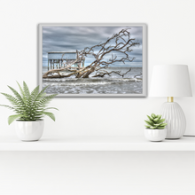 Load image into Gallery viewer, Hunting Island 2-H