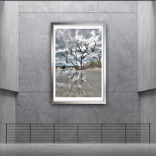 Load image into Gallery viewer, Hunting Island 1-V