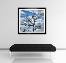 Load image into Gallery viewer, Hunting Island 3-H