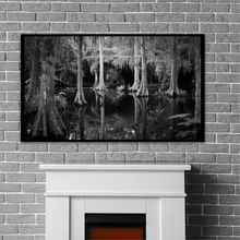 Load image into Gallery viewer, Magnolia Cypress Swamp