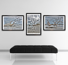 Load image into Gallery viewer, Hunting Island 2-H