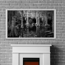 Load image into Gallery viewer, Magnolia Cypress Swamp