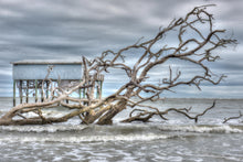 Load image into Gallery viewer, Hunting Island 2-H