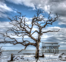 Load image into Gallery viewer, Hunting Island 3-H