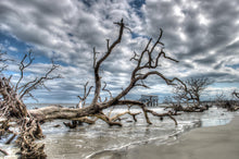 Load image into Gallery viewer, Hunting island 4-H
