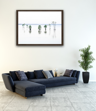 Load image into Gallery viewer, Lake Moultrie white