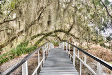 Load image into Gallery viewer, Magnolia Bridge 1
