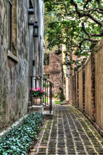 Load image into Gallery viewer, Pink Flowers In Alley