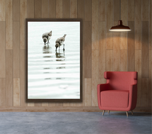 Load image into Gallery viewer, Two Plovers - Portrait