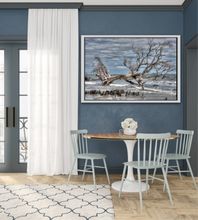 Load image into Gallery viewer, Hunting Island 5-H