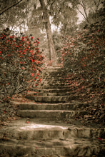 Load image into Gallery viewer, Middleton Stairs