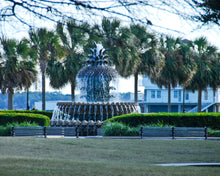 Load image into Gallery viewer, Pineapple and Palmetto Trees