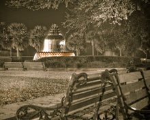 Load image into Gallery viewer, Pineapple Fountain at Night