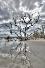 Load image into Gallery viewer, Hunting Island 1-V
