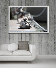 Load image into Gallery viewer, Pelican at Rest on the Dock
