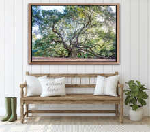 Load image into Gallery viewer, Angel Oak Color Centered
