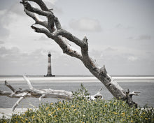 Load image into Gallery viewer, Morris Island Lighthouse With Branches
